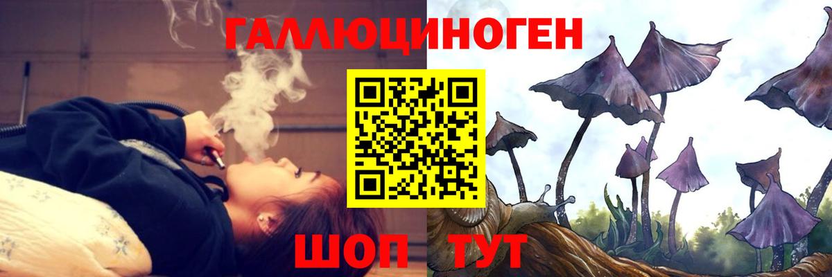 Псилоцибиновые грибы мицелий Лесосибирск